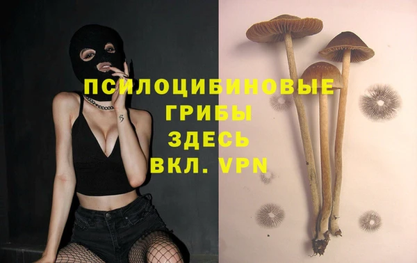 спиды Кулебаки
