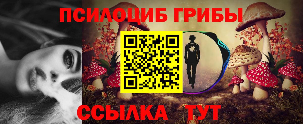 Краснокамск  Галлюциногенные грибы ЛСД  Вход с VPN  Галлюциногенные грибы Psilocybe 