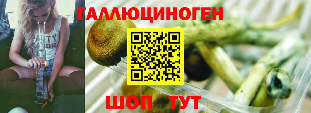 Псилоцибиновые грибы Magic Shrooms Краснокамск